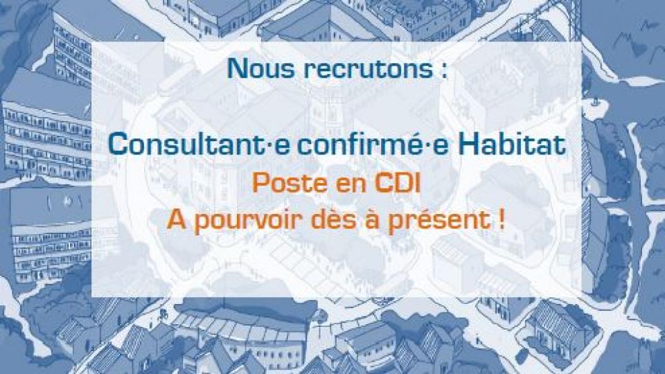 Nous recrutons ! Consultant(e) confirmé(e)